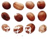 微信小程序开发公司